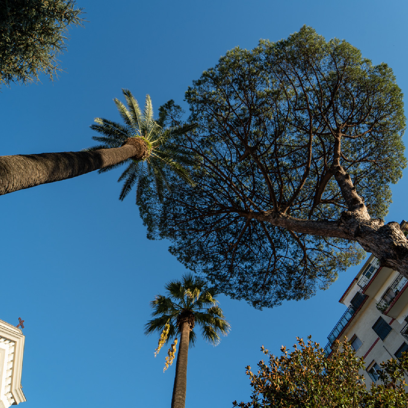 ilcantico_146_3